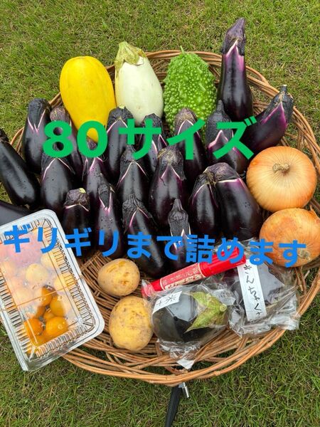 80サイズ野菜セット アスパラ 旨とろ白ナスミニトマトマクワウリニンニクゴーヤなす 水ナス玉ねぎなどの中からおまかせで梱包