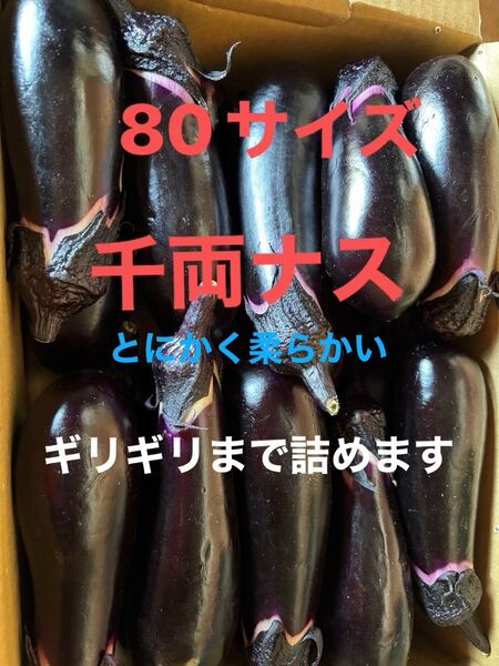 ナス 千両 野菜 栽培期間中農薬不使用 除草剤不使用