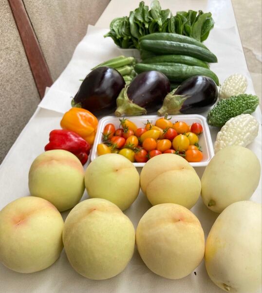 岡山県産 野菜セット おかやま夢白桃 5.9キロ 80サイズ 産地直送 詰め合わせ