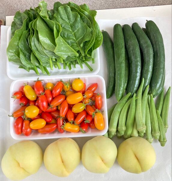 岡山県産 野菜セット 清水白桃 2.9キロ 80サイズ 産地直送 詰め合わせ
