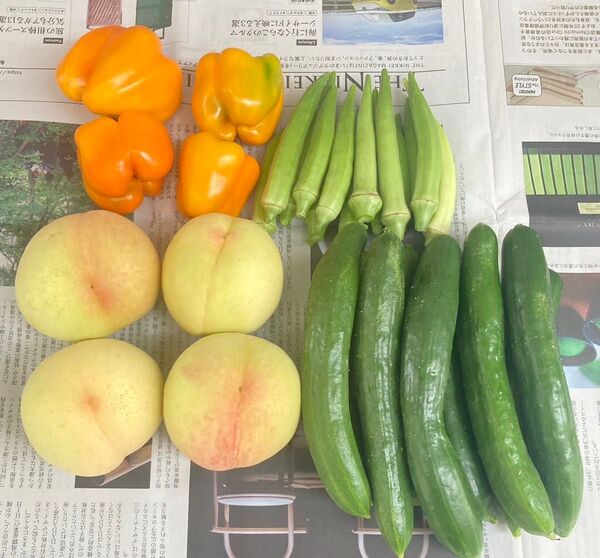 岡山県産 野菜セット おかやま夢白桃 2.2キロ 60サイズ 産地直送 詰め合わせ