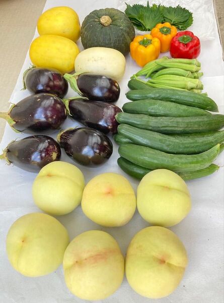 岡山県産 野菜セット おかやま夢白桃 6キロ 80サイズ 産地直送 詰め合わせ