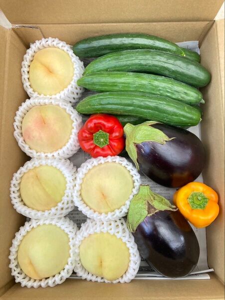 岡山県産 野菜セット 清水白桃 3.2キロ 80サイズ 産地直送 詰め合わせ(2