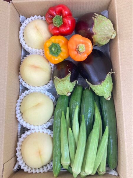 岡山県産 野菜セット 白桃 2.5キロ 80サイズ 産地直送 詰め合わせ(2