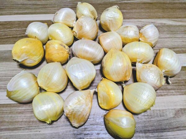 【泉州産】ジャンボにんにく 1kg