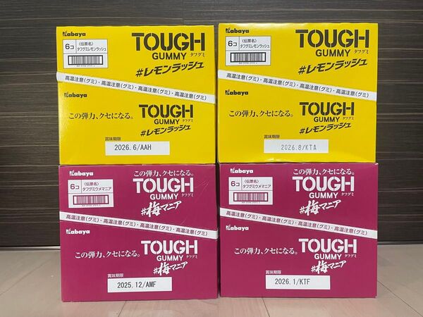 カバヤ タフグミ レモンラッシュ 100g. 1梅マニア 100g 各12袋 24袋セット