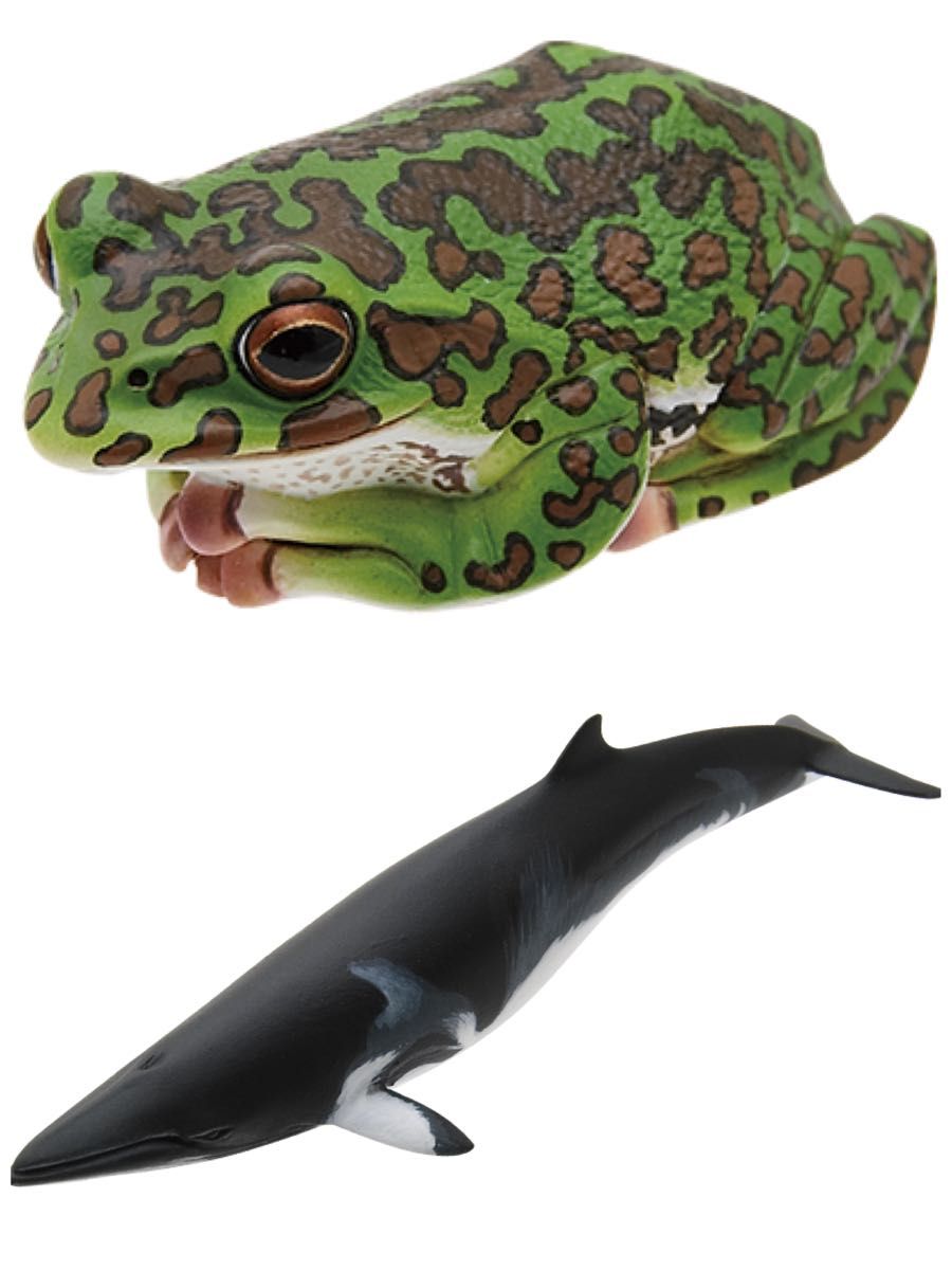 【匿名配送】Nature of Japan 日本のいきもの１　計２種セット