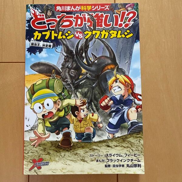 どっちが強い!? カブトムシ vs クワガタムシ