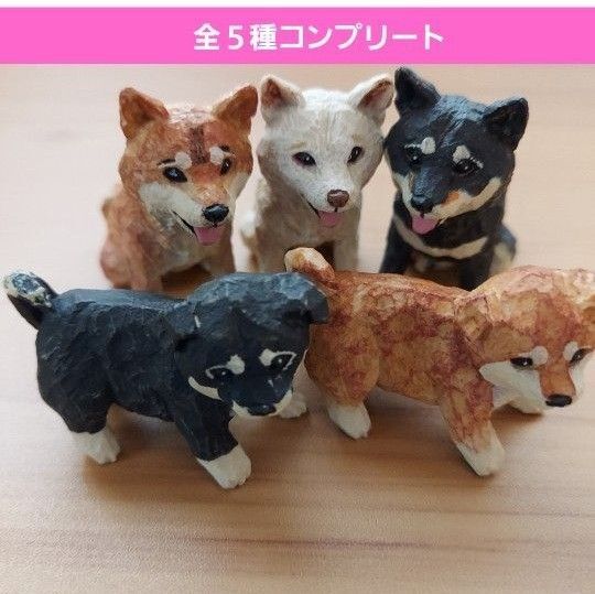 はしもとみお犬の彫刻ガチャ ガチャガチャ フルコンプ 柴犬茶 白 黒 柴犬(子)茶 黒 フィギュア いぬ 新品