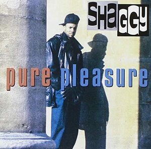 貴重廃盤 Shaggy Pure Pleasure 　日本国内盤