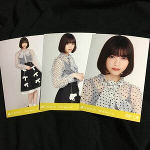 西野七瀬【ドット】3種 3枚 乃木坂46 コンプ 会場 生写真　生駒里奈卒業コンサート　卒コン