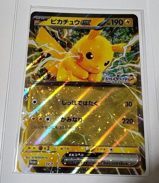 ポケモン スタンプラリー 2025 ジャンボカード ピカチュウ JR東日本 非売品 複数枚あり