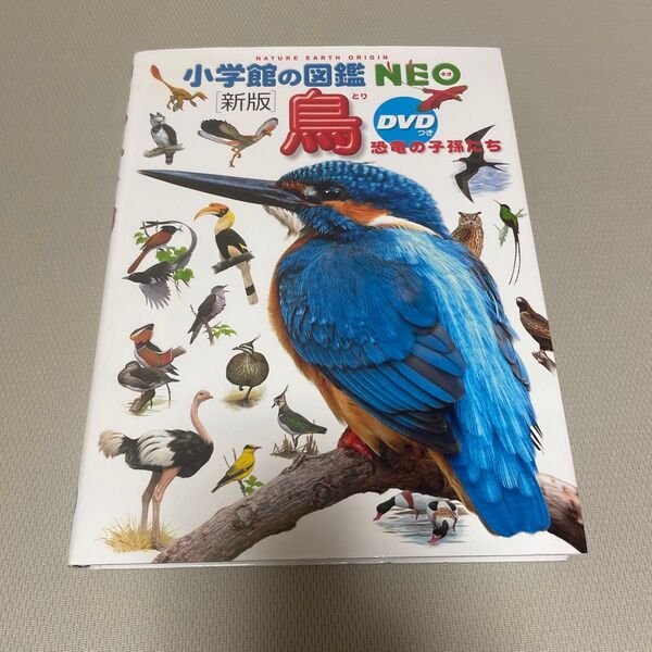 小学館の図鑑NEO 新版 鳥 DVD無し 絵本 えほん 中古 知育 ずかん 自由研究に とり 恐竜の子孫たち 夏休みに