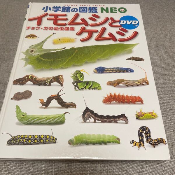 小学館の図鑑NEO イモムシとケムシ DVD無し 絵本 えほん 中古 知育 ずかん 自由研究に チョウ ガの幼虫 虫 夏休みに