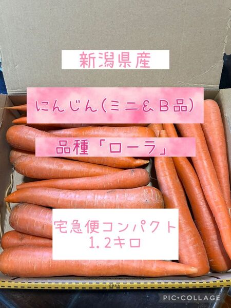新潟県産 にんじん 人参 ローラ B品&ミニ 1.2キロ 即購入OK!