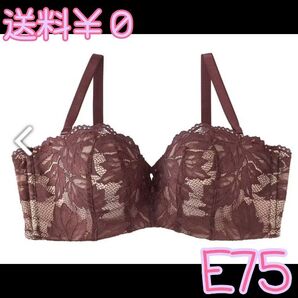 送料無料! レースブラ/E75茶