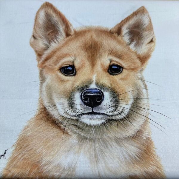 USAシーチング綿生地幅109cm×約75cm.、格.犬.コウモリ.コアラ