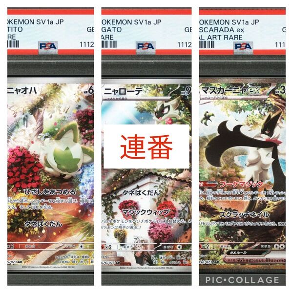 ポケカ ニャオハ AR ニャローテ AR マスカーニャ SAR PSA10 連番3枚セット