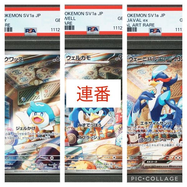 ポケカ クワッス AR ウェルカモ AR ウェーニバル SAR PSA10 3枚連番