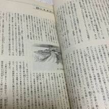 39 大白蓮華 1991年11月号 No.491 創価学会 松岡資 社会 仏法 本 平和 人間 法理 ルネサンス 宗教 仏教 日本_画像6