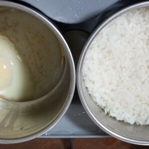 素材を投げ込むだけ節電 時短 ガス 電子レンジ不要食中毒防止 電気 弁当箱 お一人様用 万能調理器具 炊飯器 蒸し調理