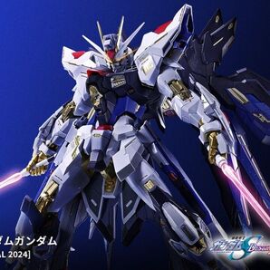 メタルビルド ストライクフリーダムガンダム 2024 METAL BUILD