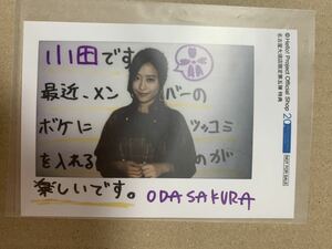 Art hand Auction اشتريه الآن Sakura Oda Nagoya Osu store الإصدار الخامس الإصدار الخامس حملة محدودة صورة إضافية صورة خام إصدار L مادة فورية Harosho Nagoya Limited ليس للبيع رسوم الشحن 84, المواهب, المواهب النسائية, هو الخط
