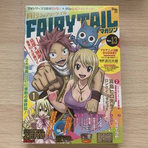月刊 FAIRY TAIL マガジン Vol.13 DVD+ファンブック★新品