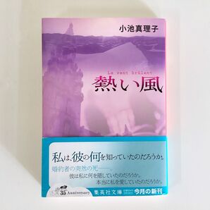 熱い風 小池真理子 集英社文庫