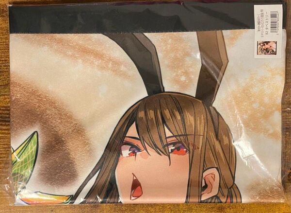 妻か死か ~敗戦国の女たち~ 2 B2タペストリー メロンブックス限定版 特典