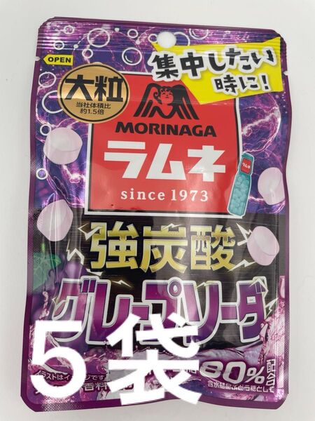森永製菓 大粒ラムネ 強炭酸グレープソーダ×5袋 大粒 ラムネ アロエヨーグルト×5袋 合計10袋
