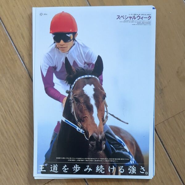 JRAヒーロー列伝 No.46 SPECIAL WEEKスペシャルウィーク競馬ポスター風クリアファイル