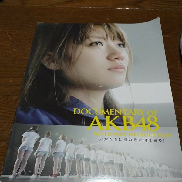 中古　パンフレット　DOCUMENTARY OF AKB48 少女たちは涙の後に