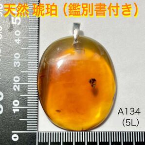 天然石 琥珀 ペンダントトップ (5L)鑑別書付き