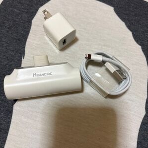 Apple 充電器