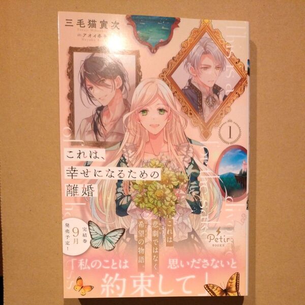 これは、幸せになるための離婚 1 (プティルブックス ミ1-04) 三毛猫寅次