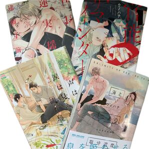 ウノハナ著4冊セット 社長蓮実瑶逮捕寸前、官能リマインダー、声はして涙は見えぬ濡れ鳥、海と2人の塩分濃度