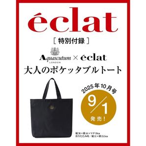 特別付録:Aquascutum × eclat 大人のポケッタブルトート