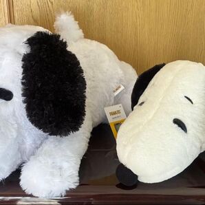 【2025年新作】PEANUTS スヌーピー BIG ぬいぐるみ 2体