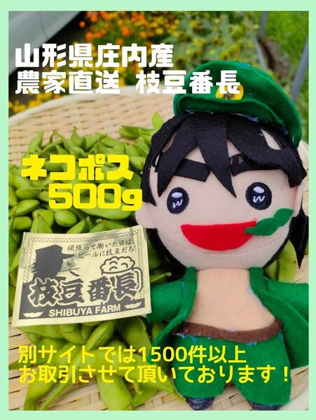 山形県庄内産 枝豆