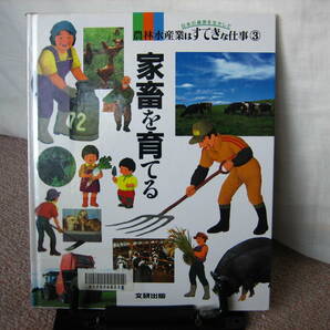 【送料込み】『家畜を育てる～農林水産業はすてきな仕事3』/文研出版