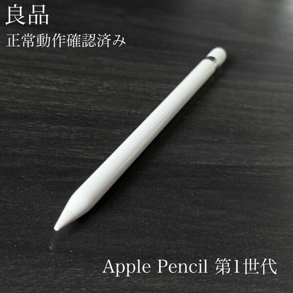 良品 正常動作確認済み Apple Pencil 第1世代 R5