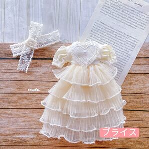 JANAYA ハンドメイド ブライス服 薄い色レースワンピース 2点セット