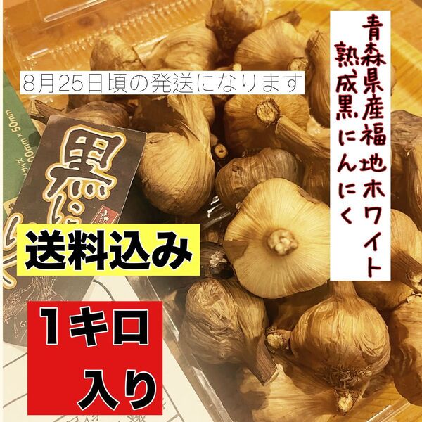 8月25日頃発送青森県産福地ホワイト6片黒ニンニク玉訳あり1キロ