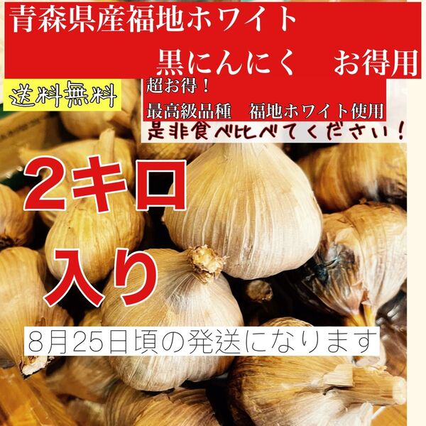 8月25日頃発送青森県産福地ホワイト6片黒ニンニク玉訳あり2キロ