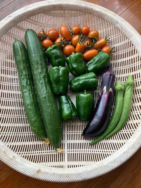 夏野菜詰め合わせ ゆうパケットプラス ⑥