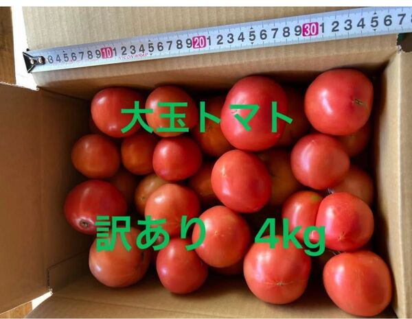 飛騨高山 訳あり大玉トマト 4kg〜