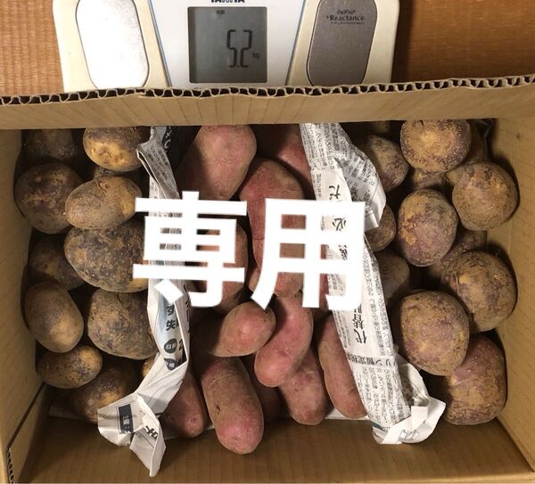 じゃがいも3種食べ比べセット 箱込み1.3Kg ノーザンルビー 俵ムラサキ、俵ポラリス