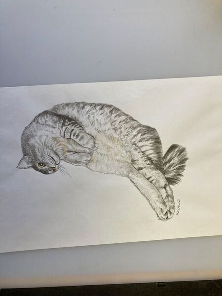 ひっくり返る猫の絵 A4サイズ 水彩画