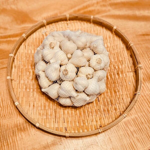 にんにく 1,1kg 福地ホワイト六片 青森県産種子使用 小玉